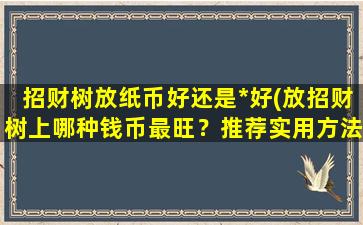 招财树放纸币好还是*好(放招财树上哪种钱币最旺？推荐实用方法！)