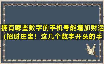 拥有哪些数字的手机号能增加财运(招财进宝！这几个数字开头的手机号带来财富丰收！)