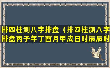 排四柱测八字排盘（排四柱测八字排盘丙子年丁酉月甲戍日时辰辰时）