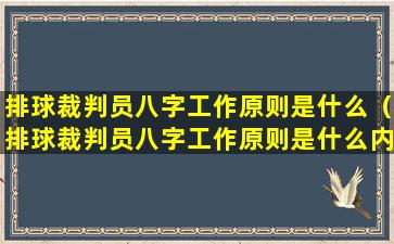 排球裁判员八字工作原则是什么（排球裁判员八字工作原则是什么内容）