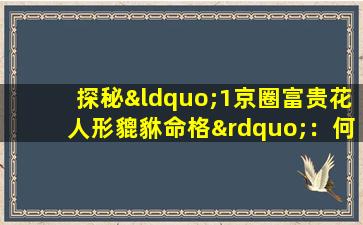 探秘“1京圈富贵花人形貔貅命格”：何以成为财富与吉祥的象征