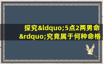 探究“5点2两男命”究竟属于何种命格