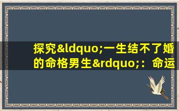 探究“一生结不了婚的命格男生”：命运的束缚还是选择的*