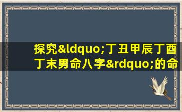 探究“丁丑甲辰丁酉丁末男命八字”的命理特征与人生走向