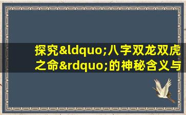 探究“八字双龙双虎之命”的神秘含义与人生影响