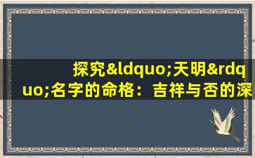 探究“天明”名字的命格：吉祥与否的深度解析