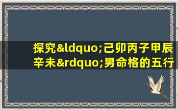 探究“己卯丙子甲辰辛未”男命格的五行特征与命运走向