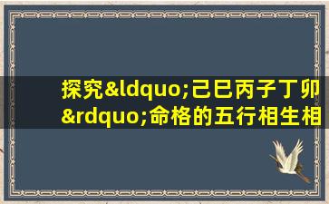 探究“己巳丙子丁卯”命格的五行相生相克及其对个人命运的影响