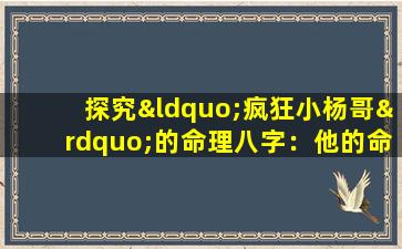 探究“疯狂小杨哥”的命理八字：他的命运轨迹如何解读