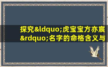 探究“虎宝宝方亦宸”名字的命格含义与影响