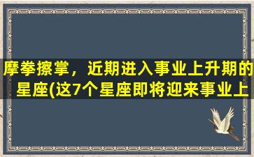 摩拳擦掌，近期进入事业上升期的星座(这7个星座即将迎来事业上升期，你是其中之一吗？)