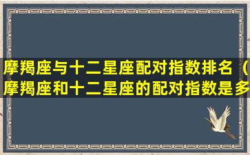 摩羯座与十二星座配对指数排名（摩羯座和十二星座的配对指数是多少）