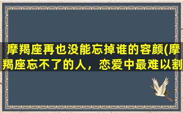 摩羯座再也没能忘掉谁的容颜(摩羯座忘不了的人，恋爱中最难以割舍的记忆)