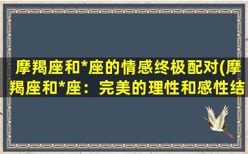 摩羯座和*座的情感终极配对(摩羯座和*座：完美的理性和感性结合)