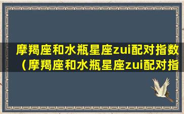 摩羯座和水瓶星座zui配对指数（摩羯座和水瓶星座zui配对指数是多少）