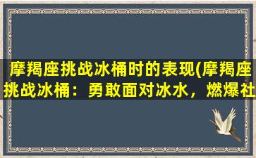 摩羯座挑战冰桶时的表现(摩羯座挑战冰桶：勇敢面对冰水，燃爆社交媒体)