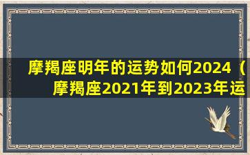 摩羯座明年的运势如何2024（摩羯座2021年到2023年运势）