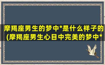 摩羯座男生的梦中*是什么样子的(摩羯座男生心目中完美的梦中*长这样)