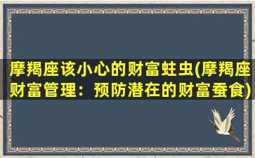 摩羯座该小心的财富蛀虫(摩羯座财富管理：预防潜在的财富蚕食)