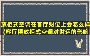 放柜式空调在客厅财位上会怎么样(客厅摆放柜式空调对财运的影响)