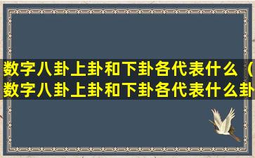 数字八卦上卦和下卦各代表什么（数字八卦上卦和下卦各代表什么卦象）