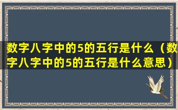 数字八字中的5的五行是什么（数字八字中的5的五行是什么意思）