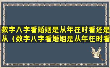 数字八字看婚姻是从年往时看还是从（数字八字看婚姻是从年往时看还是从前面看）