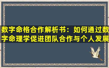 数字命格合作解析书：如何通过数字命理学促进团队合作与个人发展