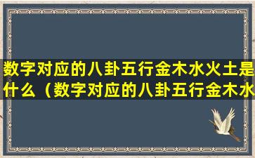 数字对应的八卦五行金木水火土是什么（数字对应的八卦五行金木水火土是什么生肖）