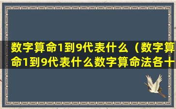 数字算命1到9代表什么（数字算命1到9代表什么数字算命法各十二七片）