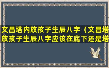 文昌塔内放孩子生辰八字（文昌塔放孩子生辰八字应该在底下还是塔心）