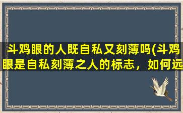 斗鸡眼的人既自私又刻薄吗(斗鸡眼是自私刻薄之人的标志，如何远离这类人？)