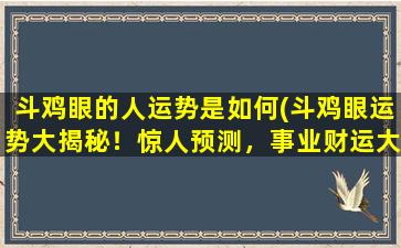 斗鸡眼的人运势是如何(斗鸡眼运势大揭秘！惊人预测，事业财运大暴增！)