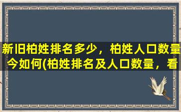 新旧柏姓排名多少，柏姓人口数量今如何(柏姓排名及人口数量，看看你知道几位？)