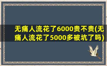 无痛人流花了6000贵不贵(无痛人流花了5000多被坑了吗)