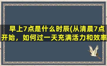 早上7点是什么时辰(从清晨7点开始，如何过一天充满活力和效率？)