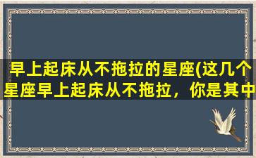 早上起床从不拖拉的星座(这几个星座早上起床从不拖拉，你是其中之一吗？)