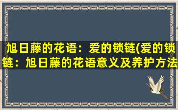 旭日藤的花语：爱的锁链(爱的锁链：旭日藤的花语意义及养护方法)