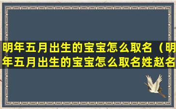 明年五月出生的宝宝怎么取名（明年五月出生的宝宝怎么取名姓赵名字带有苏字或同音字）