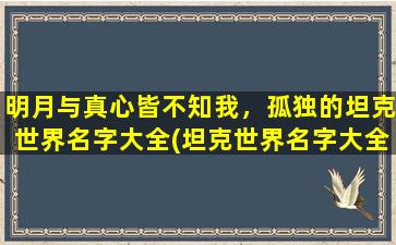 明月与真心皆不知我，孤独的坦克世界名字大全(坦克世界名字大全-探秘孤独坦克，与明月与真心一起沉浸在坦克的世界中)