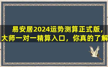 易安居2024运势测算正式版，大师一对一精算入口，你真的了解吗