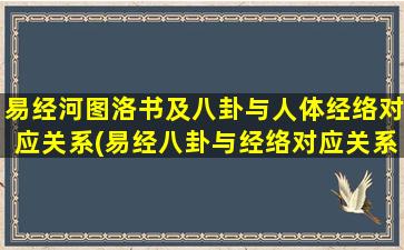 易经河图洛书及八卦与人体经络对应关系(易经八卦与经络对应关系解析，揭秘人体能量流动奥秘)