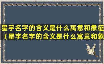 星宇名字的含义是什么寓意和象征（星宇名字的含义是什么寓意和象征呢）