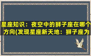 星座知识：夜空中的狮子座在哪个方向(发现星座新天地：狮子座为中心的夜空之旅)