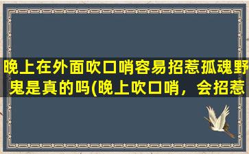 晚上在外面吹口哨容易招惹孤魂野鬼是真的吗(晚上吹口哨，会招惹孤魂野鬼？小心惹怒阴界大佬！)