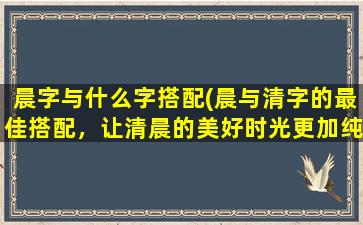 晨字与什么字搭配(晨与清字的最佳搭配，让清晨的美好时光更加纯粹与清新)