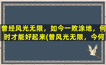 曾经风光无限，如今一败涂地，何时才能好起来(曾风光无限，今何时起死回生？)