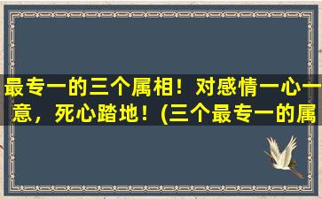 最专一的三个属相！对感情一心一意，死心踏地！(三个最专一的属相，对感情死心踏地！)