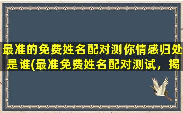 最准的免费姓名配对测你情感归处是谁(最准免费姓名配对测试，揭晓你情感归处，Ta究竟是谁？)