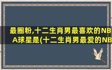 最圈粉,十二生肖男最喜欢的NBA球星是(十二生肖男最爱的NBA球星TOP10，看看谁成为了圈粉之王)